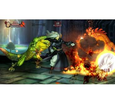 Produktbild Dragon's Crown