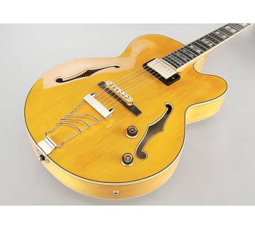 Produktbild Ibanez PM2