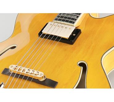 Produktbild Ibanez PM2