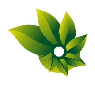 Produktbild Microsoft Photosynth