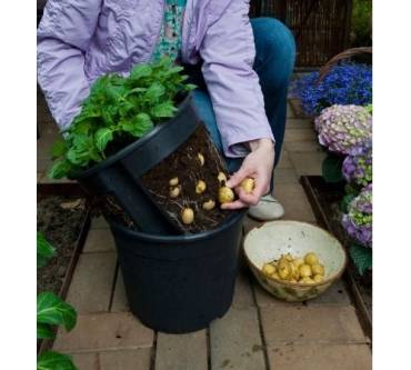 Produktbild Floragard Potato Pot