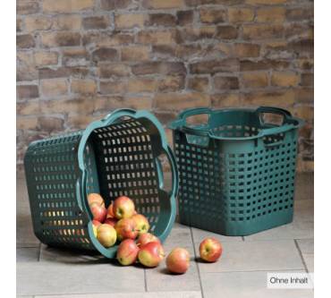 Produktbild Aldi Nord Ernte-/Vorratskorb