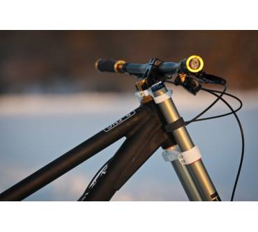 Produktbild Reichmann RIP (Modell 2014)