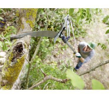 Produktbild Lidl / Florabest Baumschere