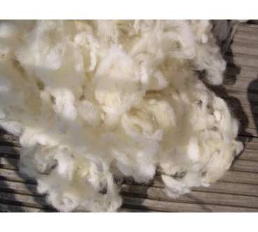 Produktbild purNatour Ganzjahres-Bettdecke Schurwolle