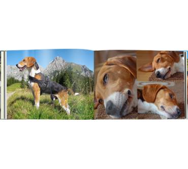 Produktbild CeWe Fotobuch Groß Panorama