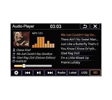 Produktbild ESX VN810 VW-G7-DAB