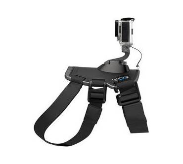 Produktbild GoPro Fetch