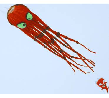 Produktbild Wolkenstürmer Mini Octopus (2014)