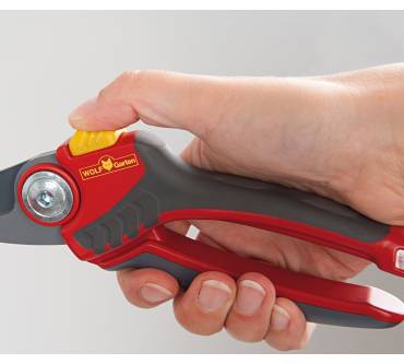 Produktbild Wolf-Garten RR 2500