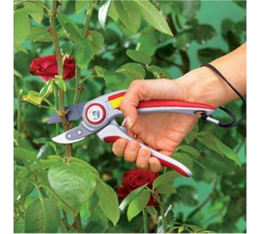 Produktbild Wolf-Garten Alu-Professional RS 5000