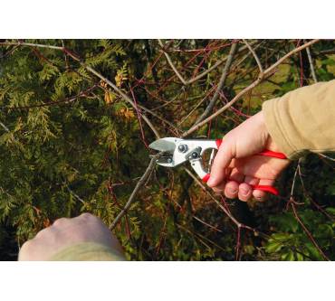 Produktbild Felco 31