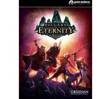 Produktbild Pillars of Eternity