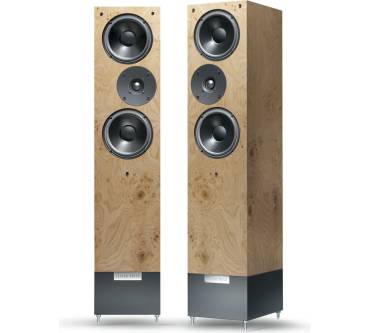 Produktbild Living Voice Avatar OBX-R2