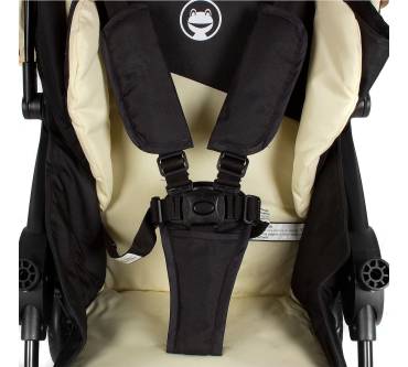 Produktbild Froggy Dingo