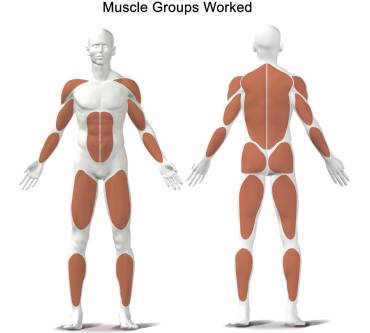 Produktbild Kettler Coach M