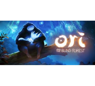 Produktbild Ori and the Blind Forest