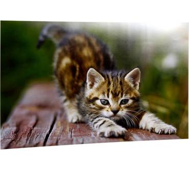 Produktbild CeWe Premium Poster Matt (40 x 60 cm)