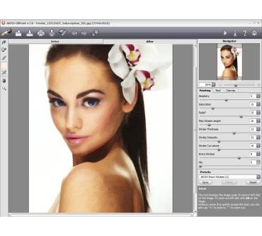 Produktbild Akvis Oilpaint 3.0