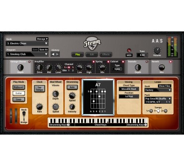 Produktbild AAS Strum GS-2