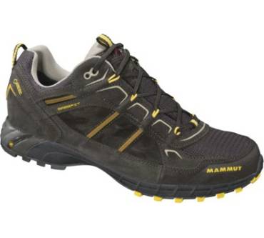 Produktbild Mammut T Element Low GTX