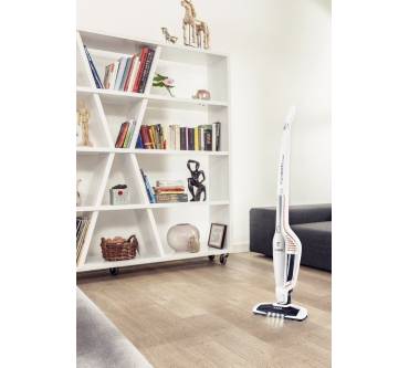 Produktbild AEG Ergorapido AG3004