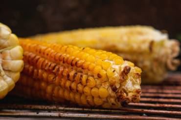 Lust auf Grillen? Aber bitte umweltfreundlich! Maiskolben auf Grill in Nahaufnahme