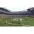 Produktbild Madden NFL 16