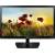 Produktbild LG 24MP47HQ