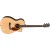Produktbild Fender PM-3 Limited Adirondack Triple-0