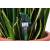 Produktbild botanicalls botanicalls kit