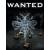 Produktbild Wanted (für Handy)