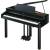 Produktbild Roland RG-1