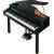 Produktbild Roland RG-1