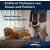 Produktbild Hoover HF4 Plus Pet (HF4P10P)