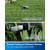 Produktbild Ecovacs Goat O1000 RTK