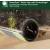 Produktbild iRobot Roomba Max 705X Combo