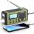 Raddy SH-908