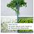 Produktbild Bosch Serie 4 KGN39OCAF