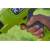 Produktbild Ryobi RY18BLCXA
