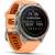 Produktbild Garmin Fenix 9 Pro InReach
