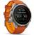 Produktbild Garmin Fenix 9 Pro InReach