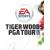 EA Sports Tiger Woods PGA Tour 09 (für iPhone)