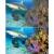 Produktbild Franzis Scuba Image