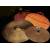Istanbul Agop „30th Anniversary“-Cymbals Testsieger