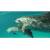 Produktbild Blu-ray Die Bucht - The Cove