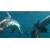 Produktbild Blu-ray Die Bucht - The Cove
