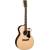 Produktbild Martin Guitar GPCPA1