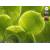 Produktbild Microsoft Windows 7 Home Premium Upgrade Family Pack