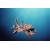 Produktbild 3D Blu-ray Deep Sea 3D